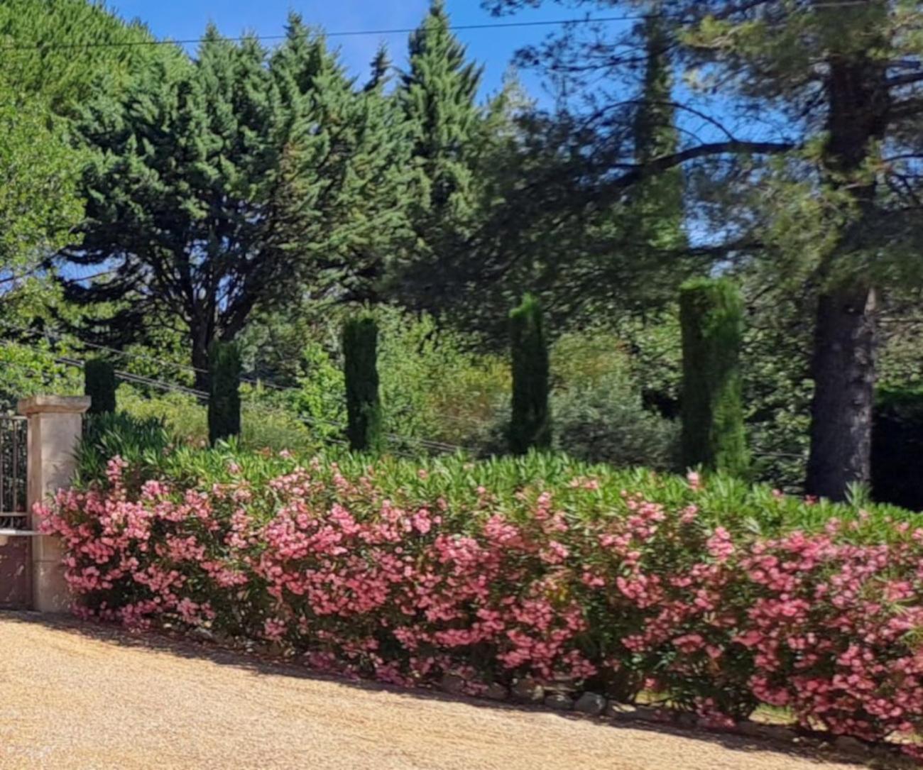 サン・サテュルナン・ダプト Les Cerises Bed & Breakfast エクステリア 写真